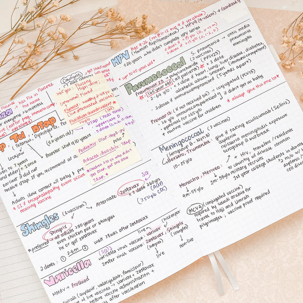 A5 Tangerine Bullet Journal