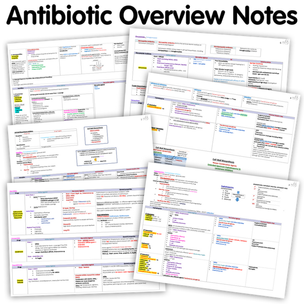 Antibiotics Overview Notes